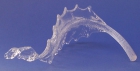 Glasblätter 8975