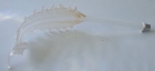 Glasblatt 8979/300