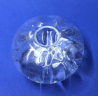 GLasbaluster 55mm