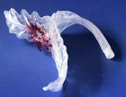 Glasblätter für italienische Leuchter 8976